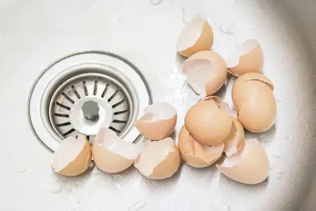 eggshells in sink
